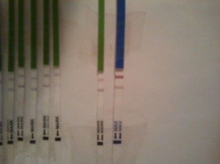 Mis test!!!!