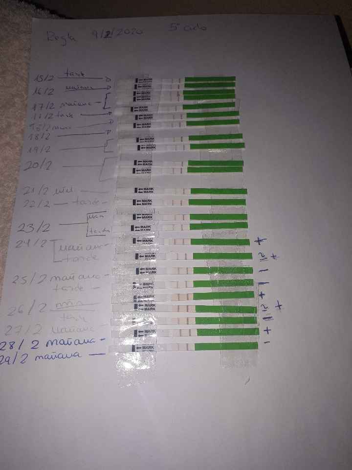 Test de ovulacion positivos y temperatura no sube - 1