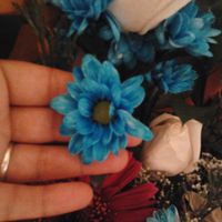 flor azul