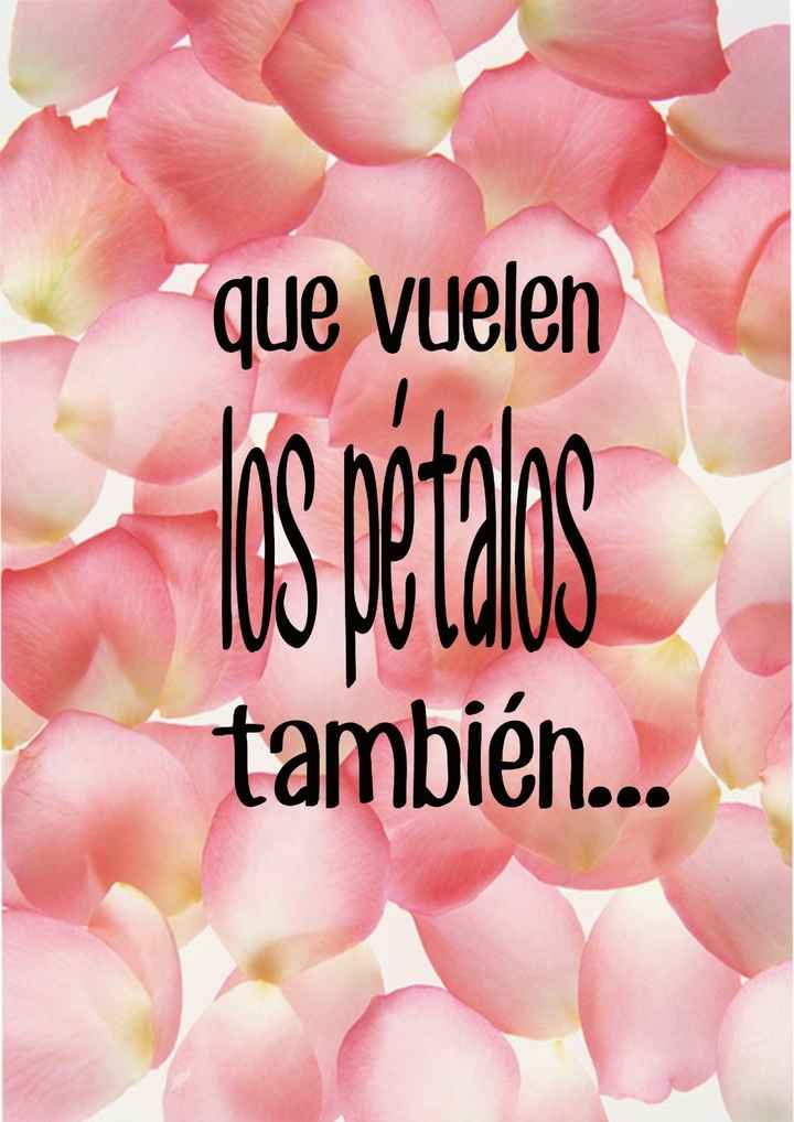Cartel de los pétalos
