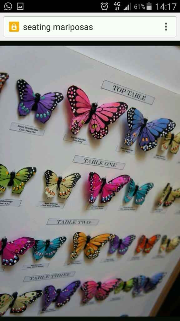 Sitting de mariposas - 7