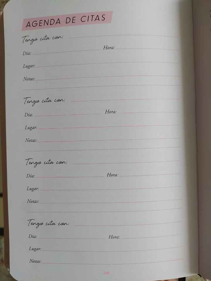 Que agenda de novia me recomendáis? - 4