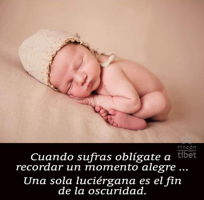 positivismo