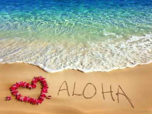 Aloha Wedding :)