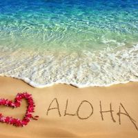 Aloha Wedding :)
