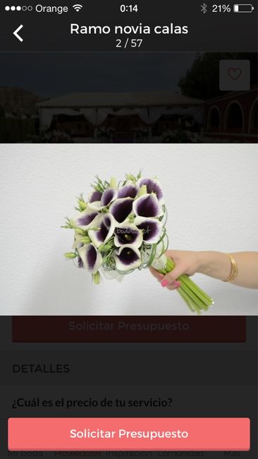 Que color elegir. .. - 1