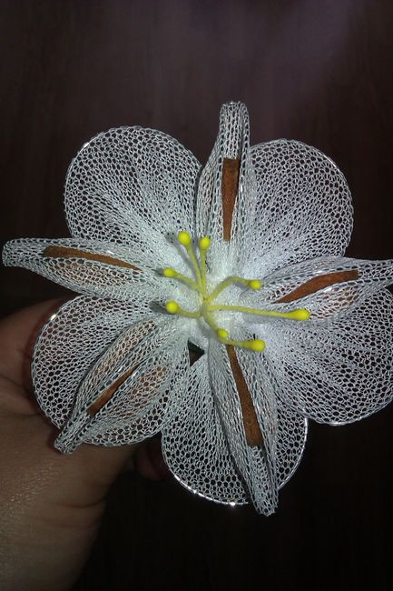 flor blanca 