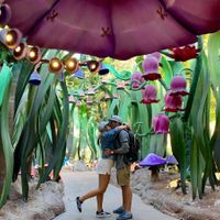 Es de nuestro viaje por la costa oeste de Estados Unidos, con paradita en Disneyland California :)