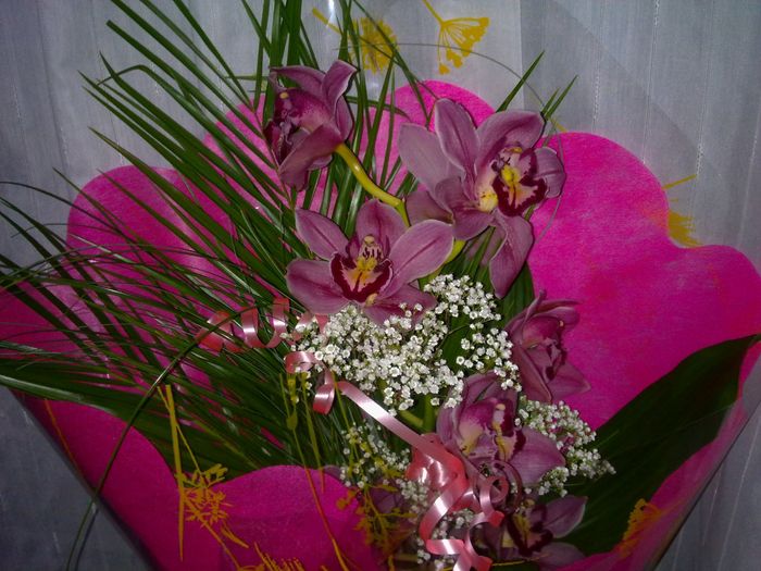 Lo mas romantico!!! - 1