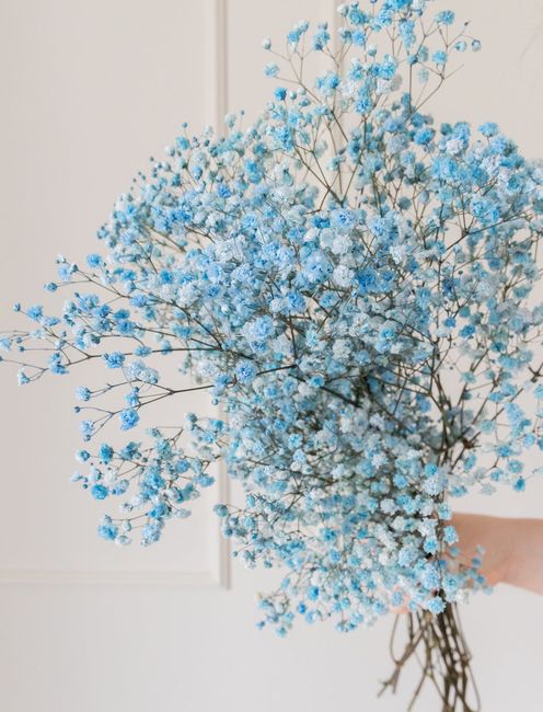 Sin ramo a 18 días de la boda 7