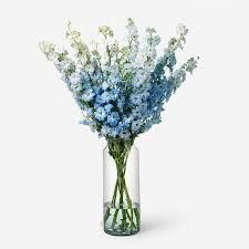 Sin ramo a 18 días de la boda 8