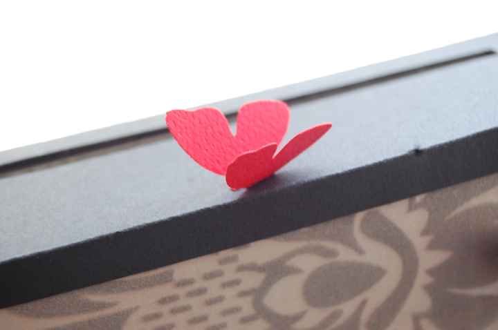 mariposa