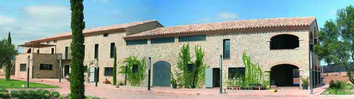 mas oliveres