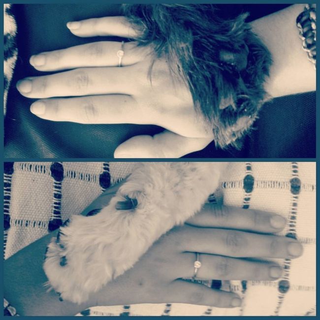 Mis gordos