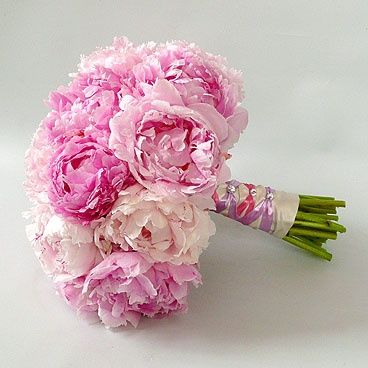 Peonias