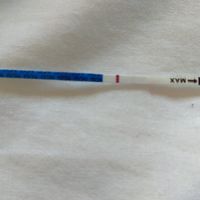 Buscadoras de un primer embarazo y tras muchos intentos no llega - 1