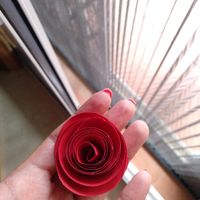 Mis rosas de papel - 2