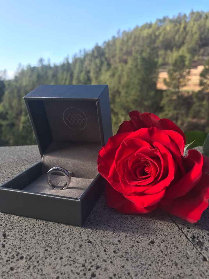 Pedida: ¿Con o sin anillo? 💍 - 1