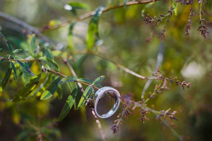 Mi anillo de compromiso - 1