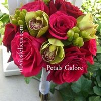 rosas fucsia 1