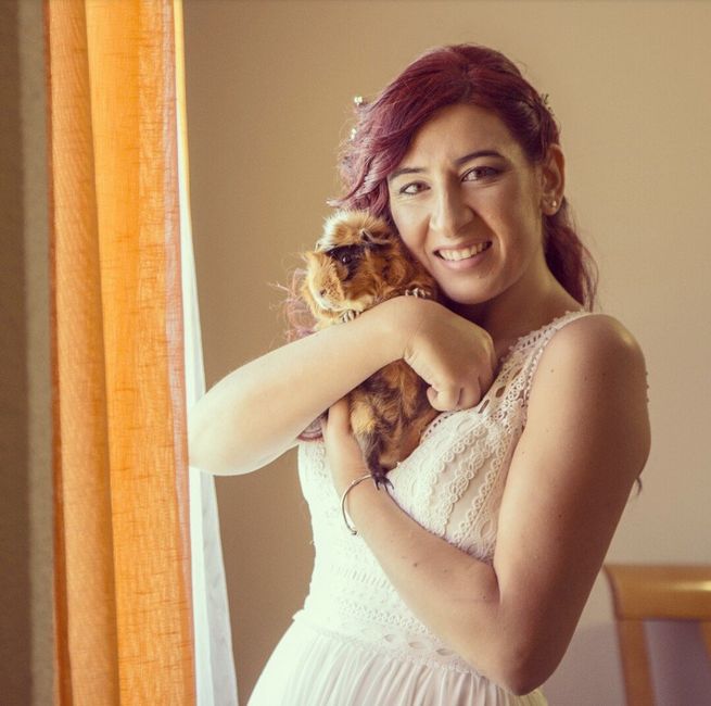Mi Wicket