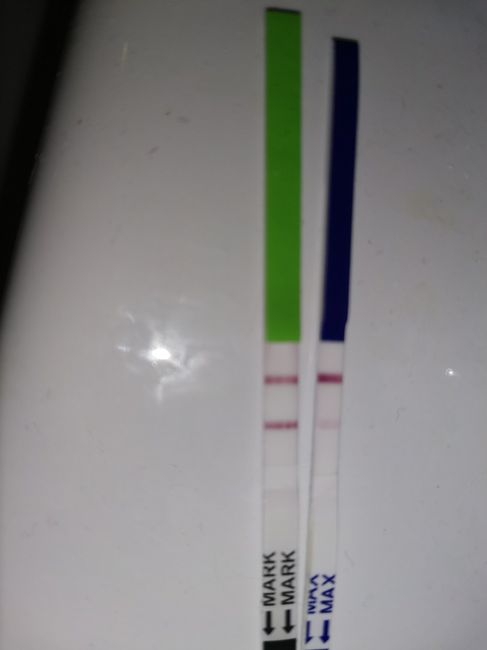 Embarazo y endometriosis - 1