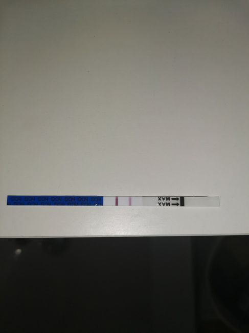 Embarazo y endometriosis - 1
