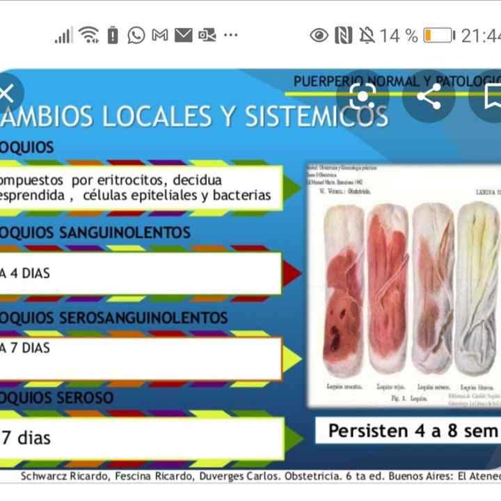 Futuras mamas Diciembre 2020 - 1