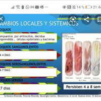 Futuras mamas Diciembre 2020 - 1