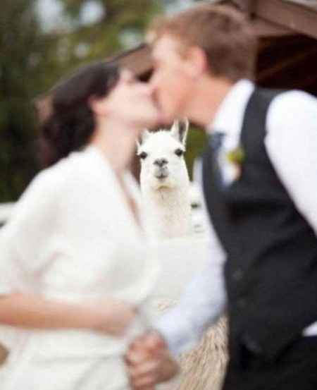 Foto de boda horrible 19