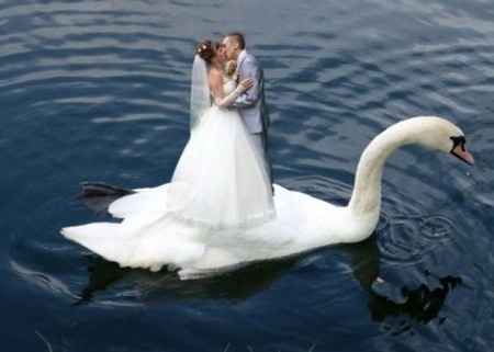 Foto de boda horrible 31