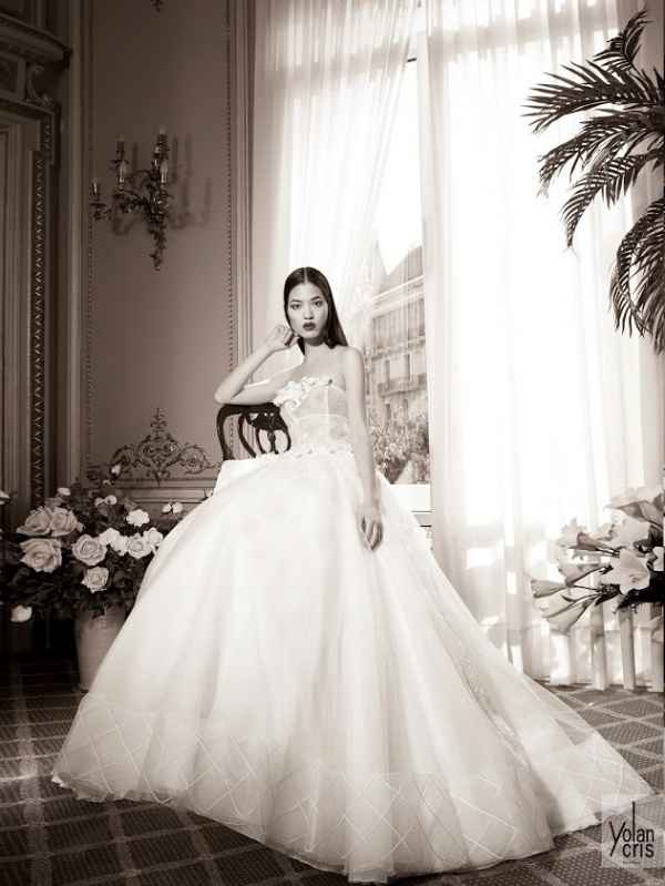 Yolancris avance 2016