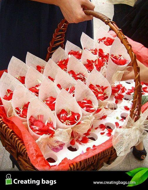 Presentación conos de arroz - 4