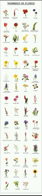 Catálogo de flores más habituales para ramos de novia - 1