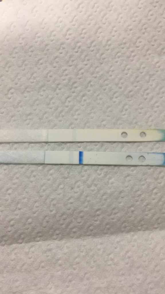 Falso negativo clearblue 3