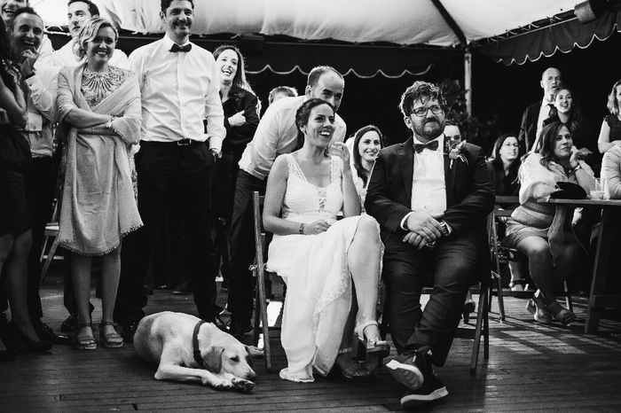 5 formas de que tu mascota participe en la boda - 1