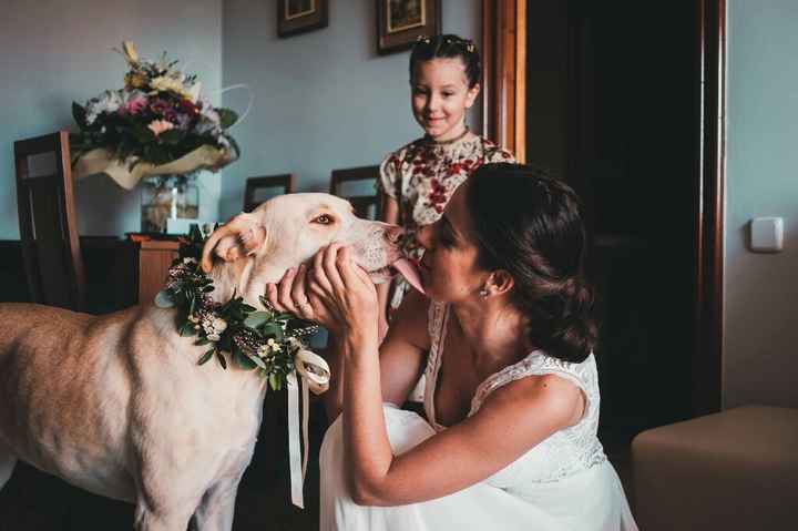 5 formas de que tu mascota participe en la boda - 2