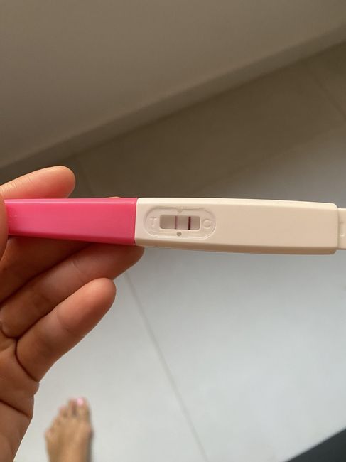 Futuras mamis abril 2025 2