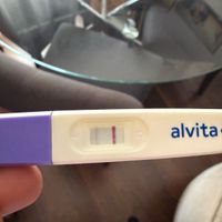 Buscadoras abril 2026 🍀 - 1