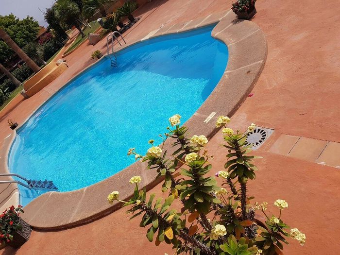 Finca - 9