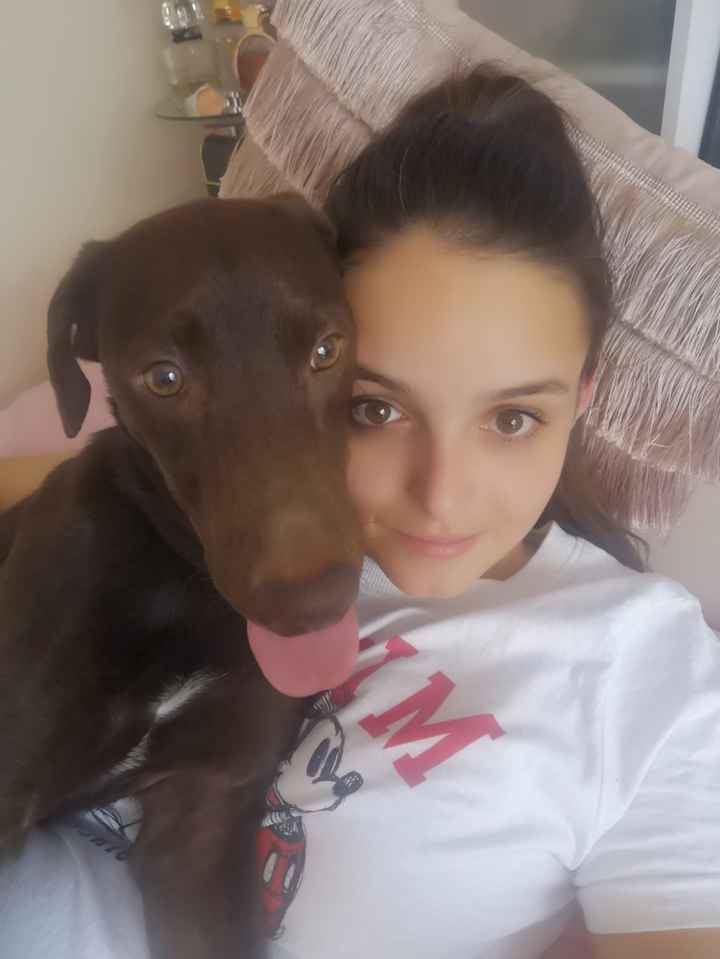 ¿Tenéis peluditos en casa? - 1