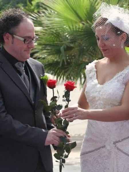 Mis rosas preservadas