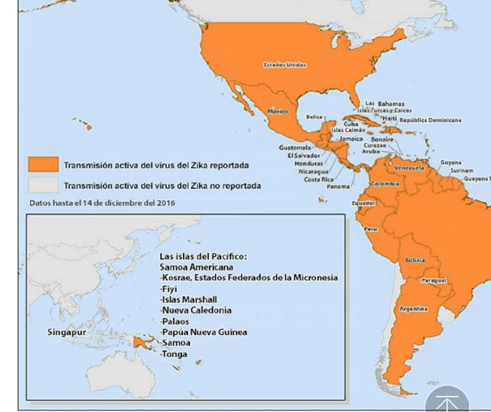 Zika!!!!! - 1