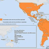 Zika!!!!! - 1