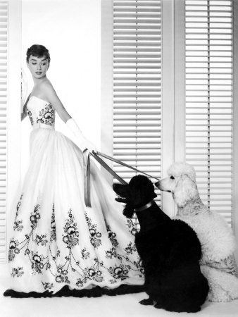Audrey Hepburn