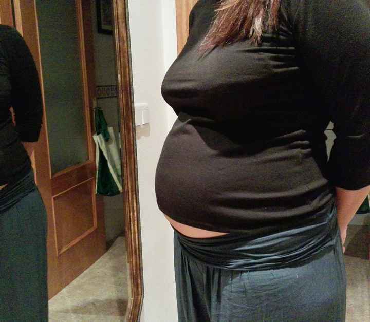 mi pancholina de 16 1