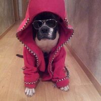 rocky