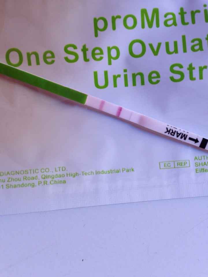 Test ovulacion positivo