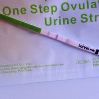 Test ovulacion positivo