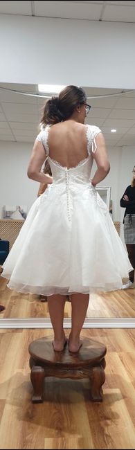 Vestidos que pudieron ser míos (o no) - 9